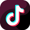 free-icon-tiktok-2504942